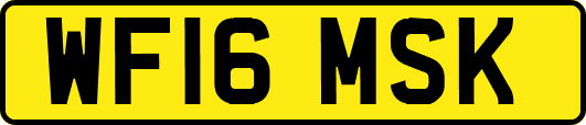 WF16MSK