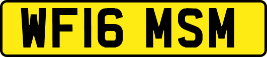 WF16MSM