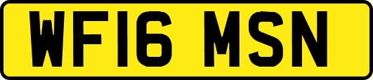 WF16MSN