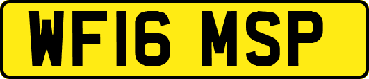 WF16MSP