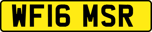 WF16MSR
