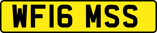 WF16MSS