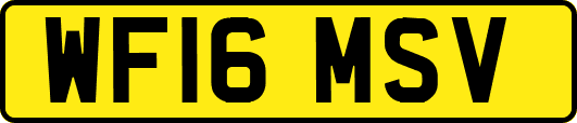 WF16MSV