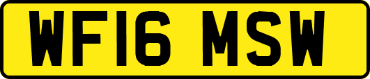 WF16MSW