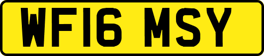 WF16MSY
