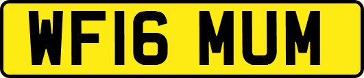 WF16MUM