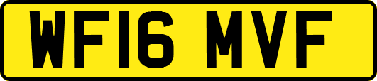 WF16MVF