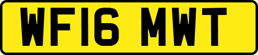 WF16MWT
