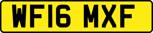 WF16MXF