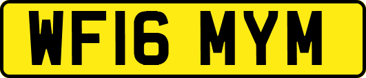 WF16MYM
