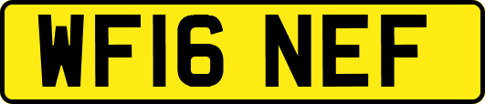WF16NEF