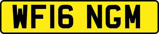 WF16NGM