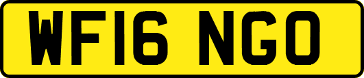 WF16NGO