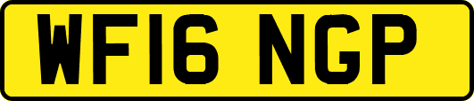 WF16NGP