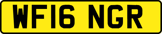 WF16NGR