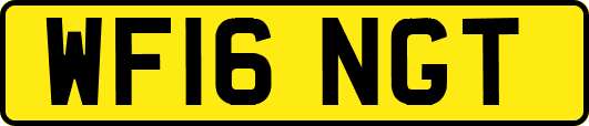 WF16NGT