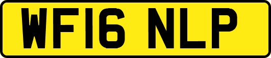 WF16NLP