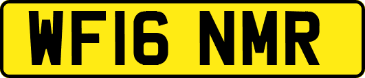 WF16NMR