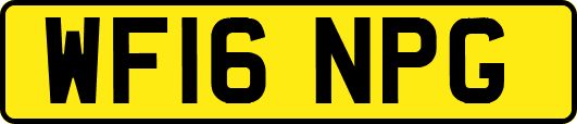WF16NPG