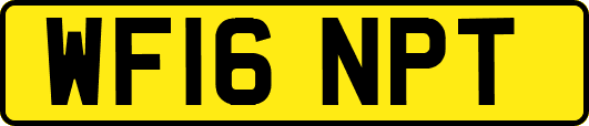WF16NPT