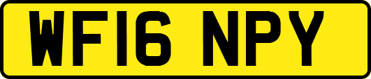 WF16NPY