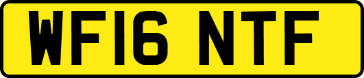 WF16NTF
