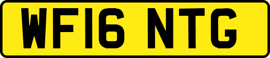 WF16NTG