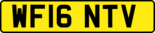 WF16NTV