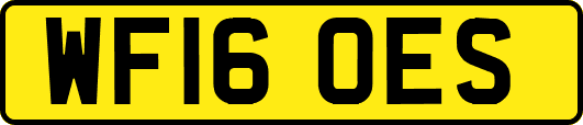 WF16OES