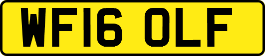 WF16OLF