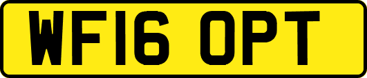 WF16OPT
