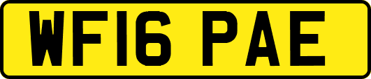 WF16PAE