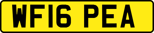 WF16PEA