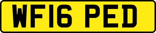 WF16PED