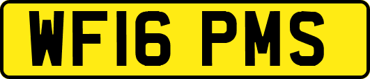 WF16PMS