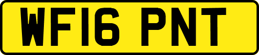 WF16PNT