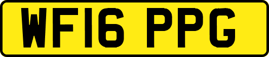 WF16PPG