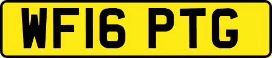 WF16PTG
