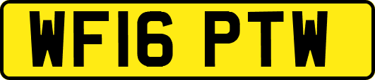 WF16PTW