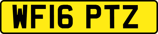 WF16PTZ