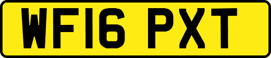 WF16PXT