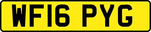 WF16PYG