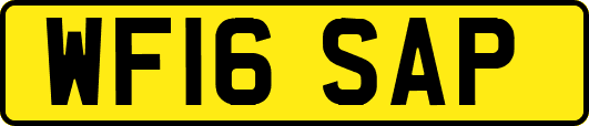 WF16SAP