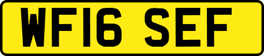 WF16SEF