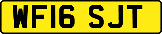 WF16SJT