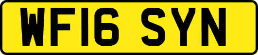 WF16SYN