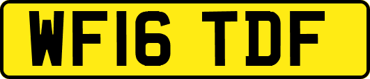 WF16TDF