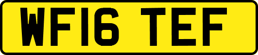 WF16TEF