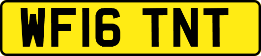 WF16TNT