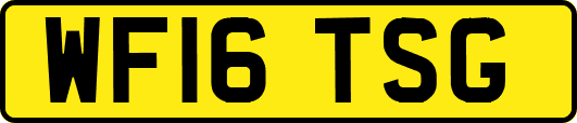 WF16TSG